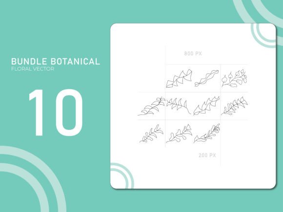 Hand Drawn Botanical 14: A Comprehensive Evaluation for Design Professionals