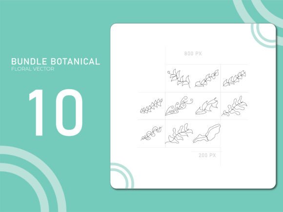 Hand Drawn Botanical 20: A Creative Asset for Designers